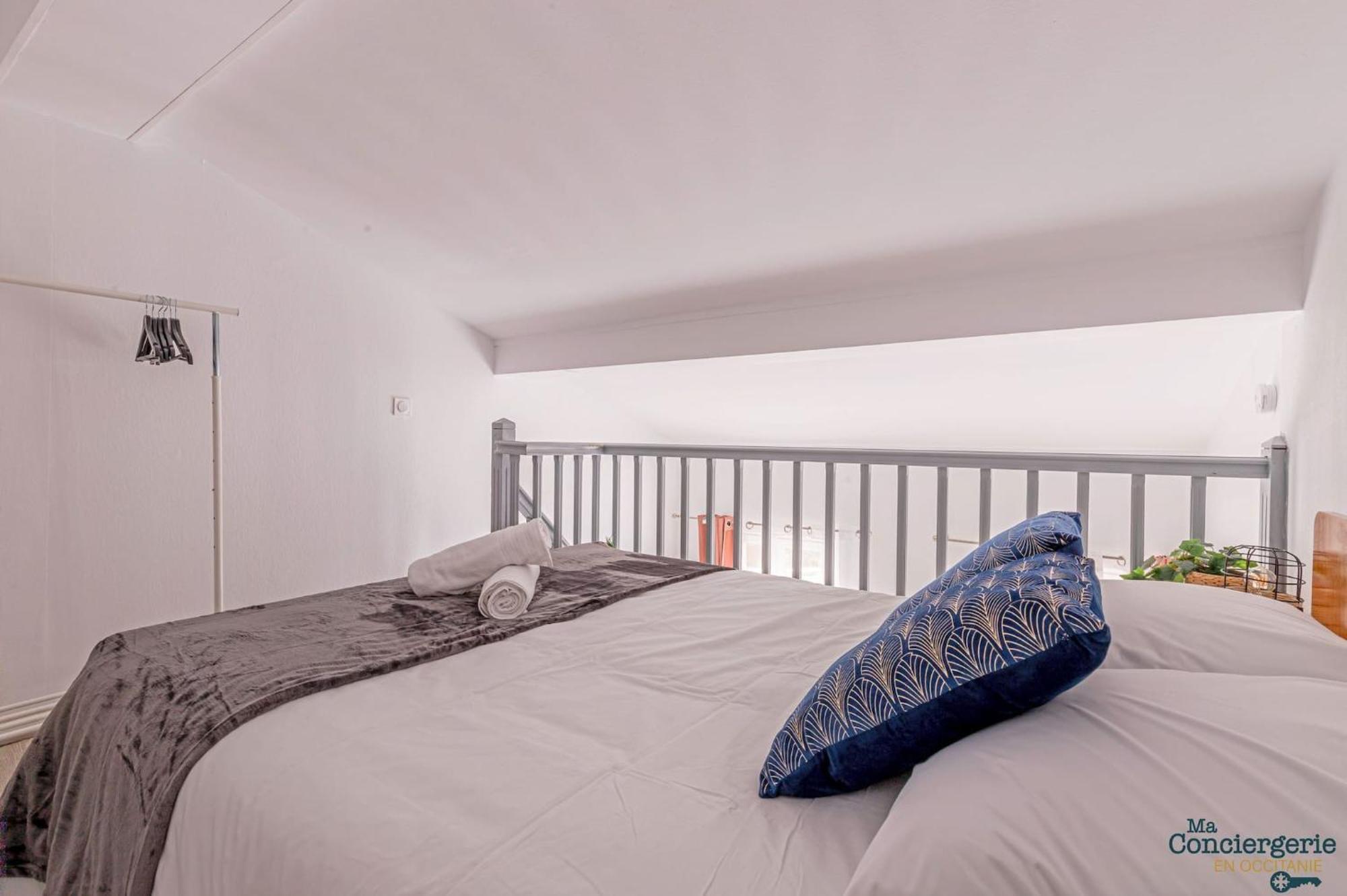 Duplex Champetre : Gare, Marche, Hypercentre Lägenhet Toulouse Exteriör bild