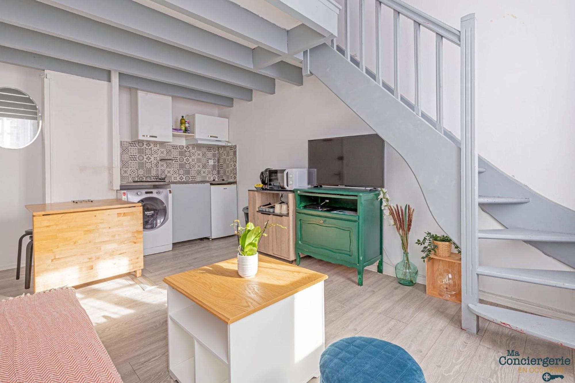 Duplex Champetre : Gare, Marche, Hypercentre Lägenhet Toulouse Exteriör bild