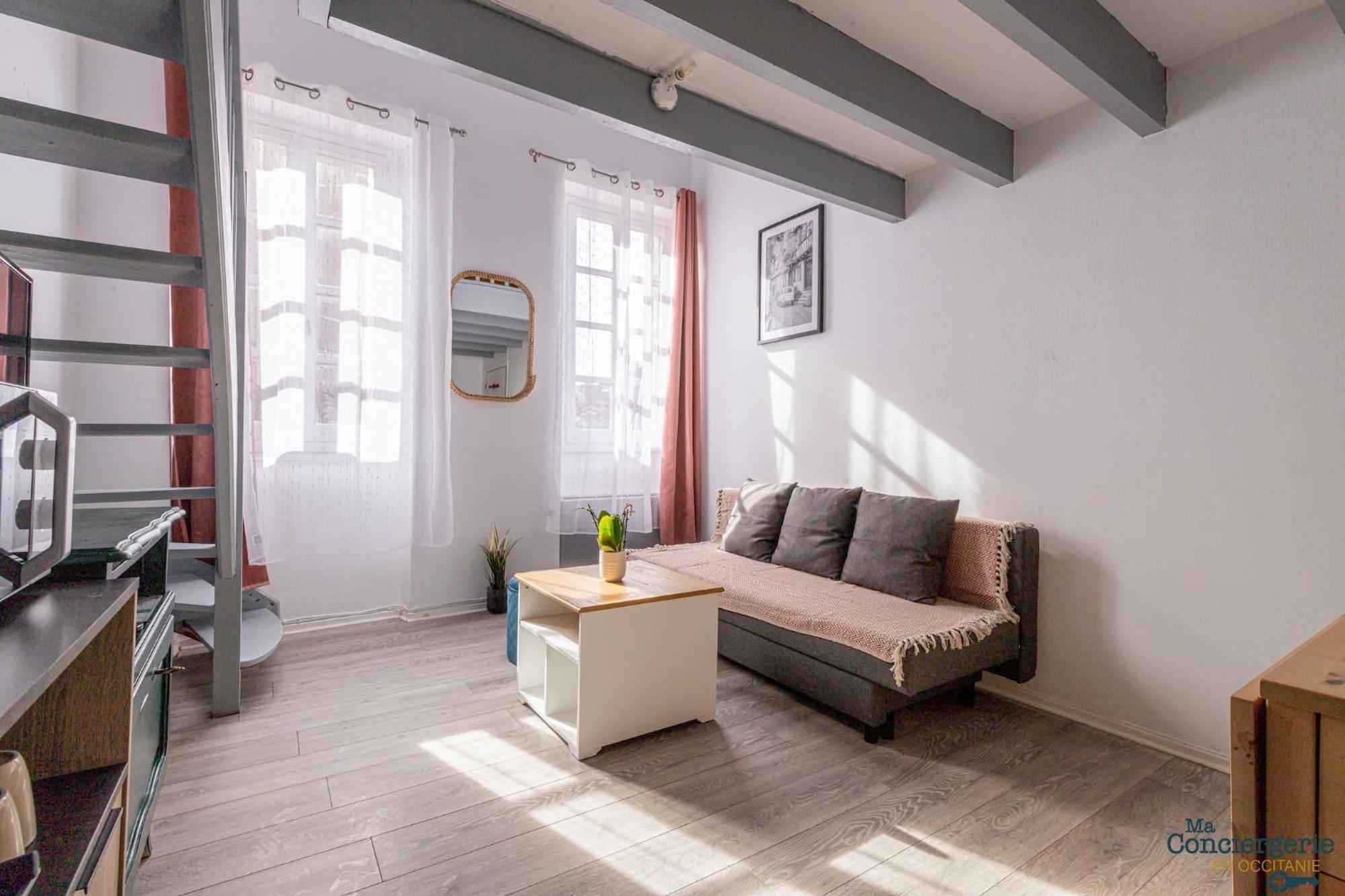 Duplex Champetre : Gare, Marche, Hypercentre Lägenhet Toulouse Exteriör bild