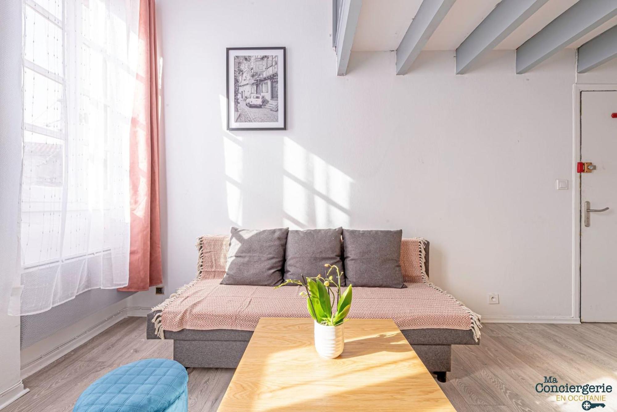 Duplex Champetre : Gare, Marche, Hypercentre Lägenhet Toulouse Exteriör bild