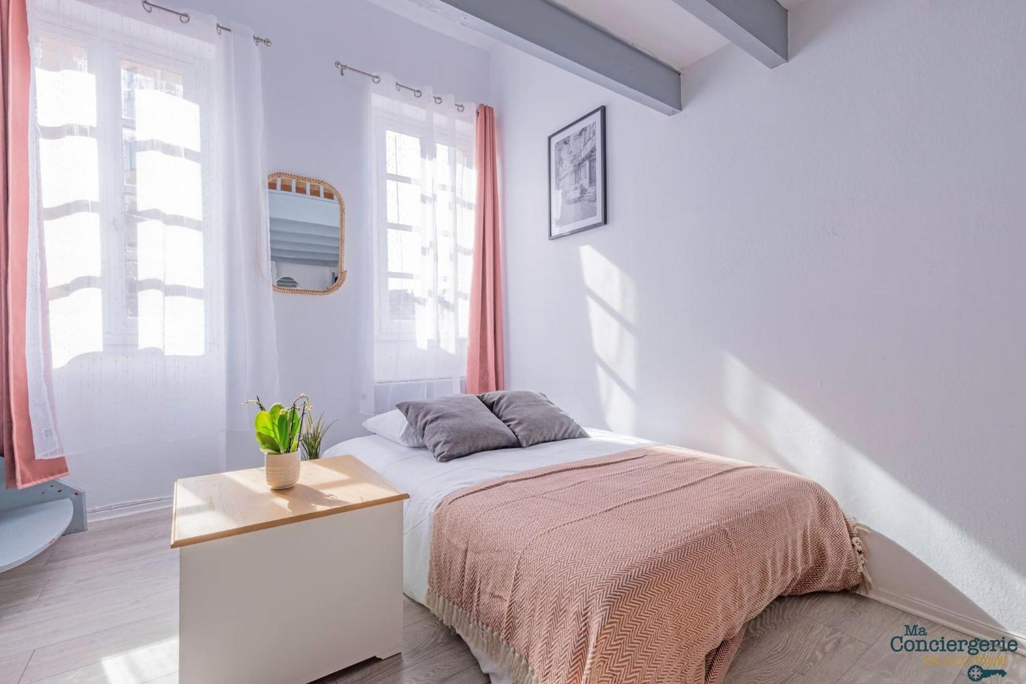 Duplex Champetre : Gare, Marche, Hypercentre Lägenhet Toulouse Exteriör bild