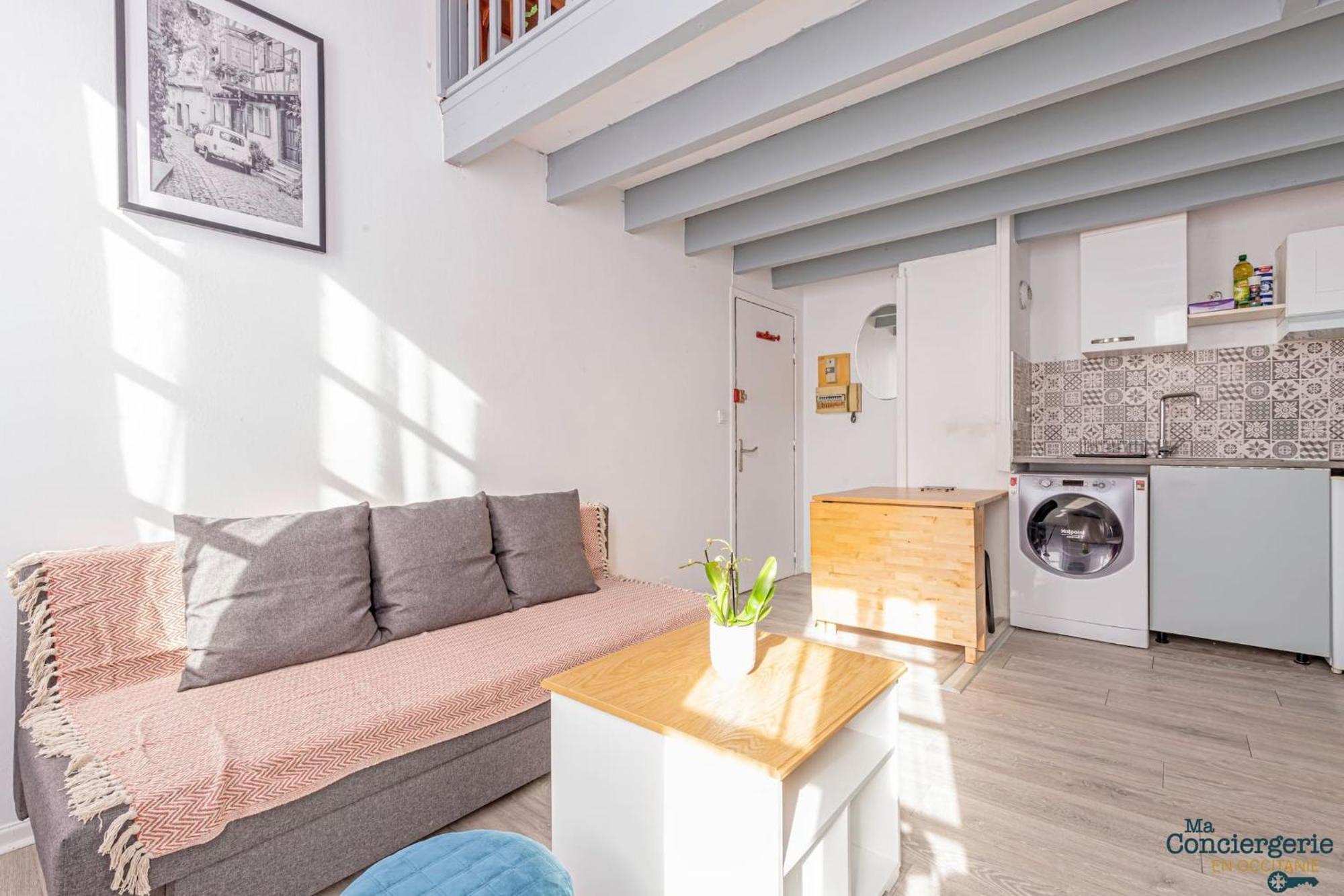 Duplex Champetre : Gare, Marche, Hypercentre Lägenhet Toulouse Exteriör bild