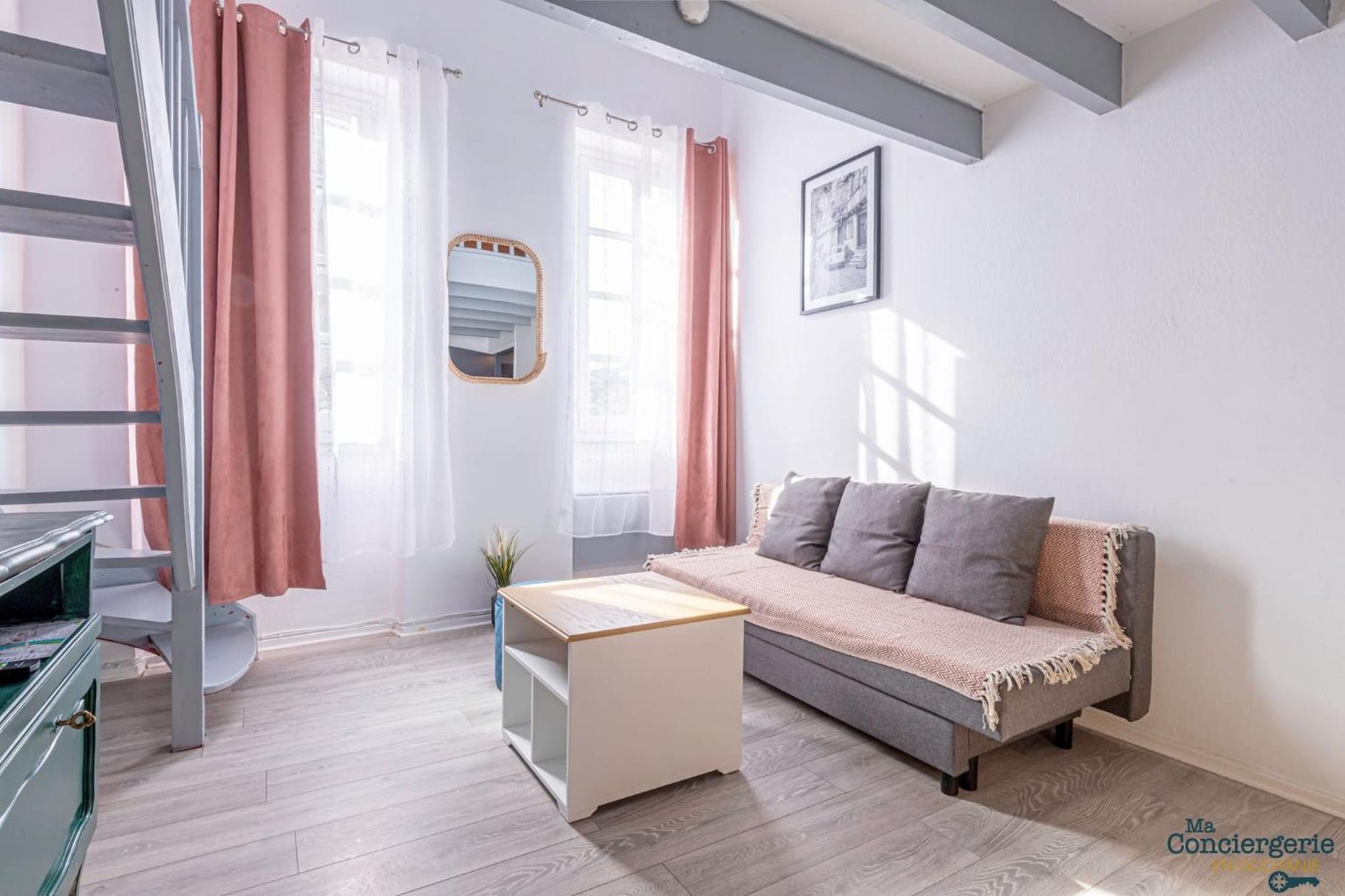 Duplex Champetre : Gare, Marche, Hypercentre Lägenhet Toulouse Exteriör bild