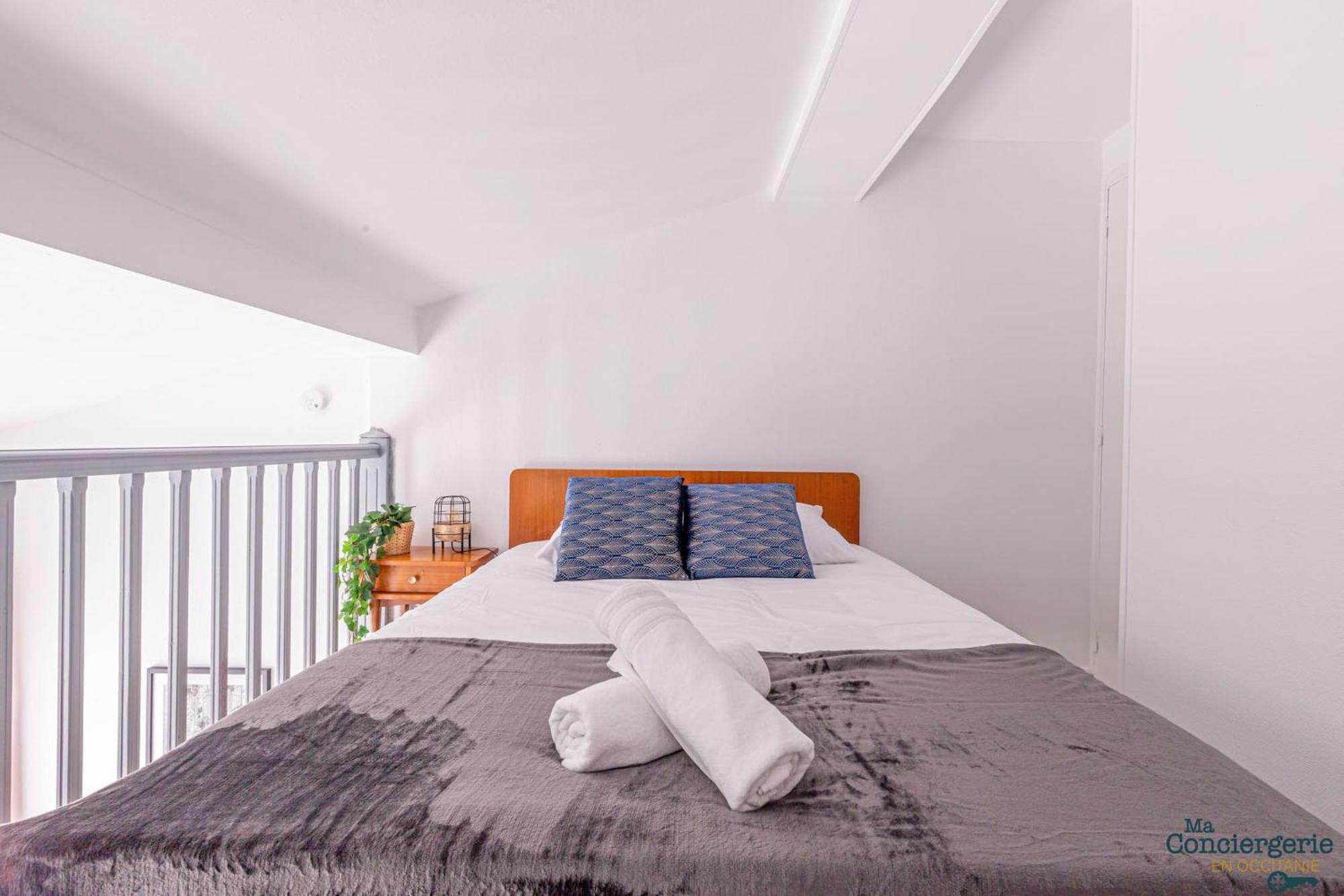 Duplex Champetre : Gare, Marche, Hypercentre Lägenhet Toulouse Exteriör bild